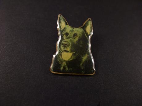 Duitse Herdershond ( Schäferhund) (3)